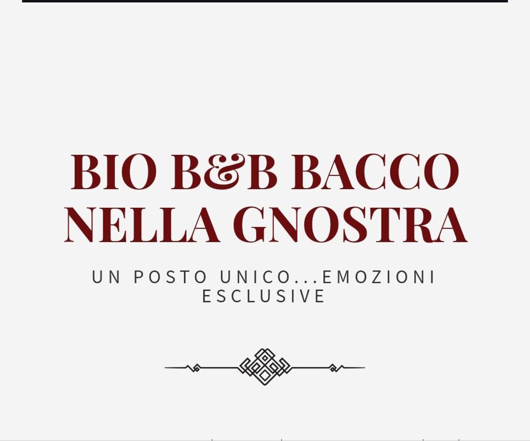Bio B&B Bacco Nella Gnostra Altamura Dış mekan fotoğraf